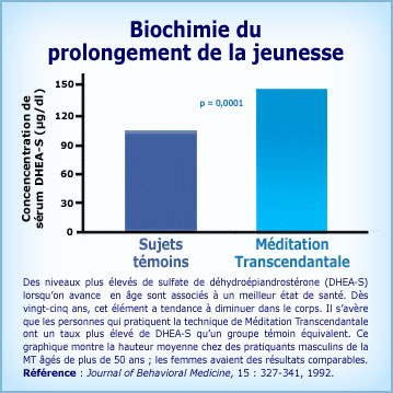 Graphique Méditation Transcendantale et prolongement de la jeunesse