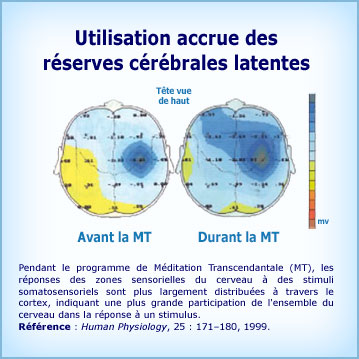 Graphique Méditation Transcendantale et cohérence cérébrale. Mobilisation des zones latentes du cerveau